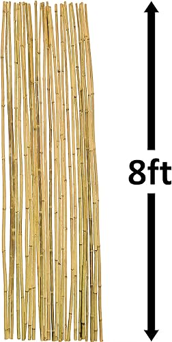 Miniatura 10 de Bastones de bambú natural, estacas de jardín ecológicas de 16 pulgadas de largo (20 unidades) de bambú Dlh Western