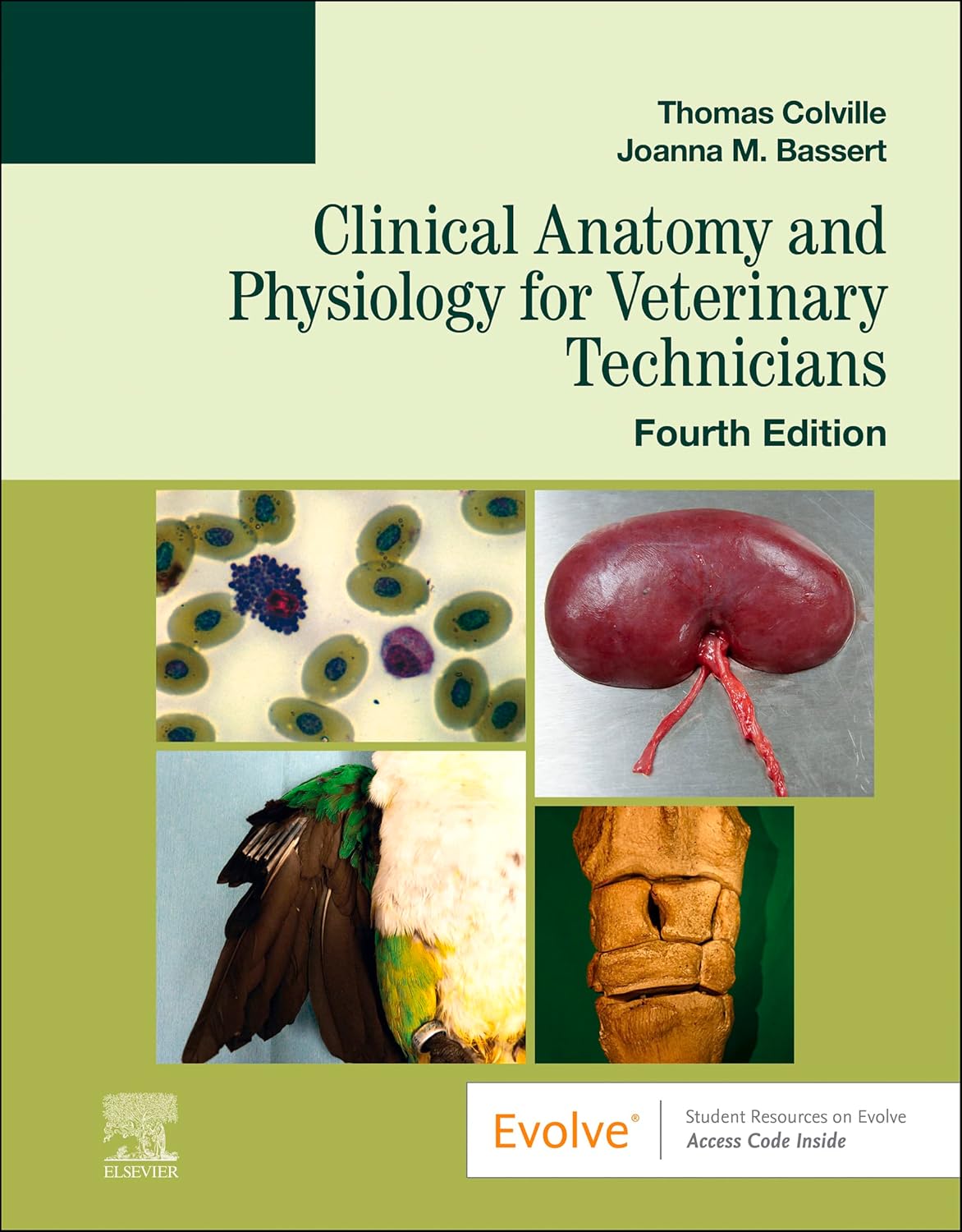 Clinical Anatomy and Physiology for Veterinary Technicians – E-Book