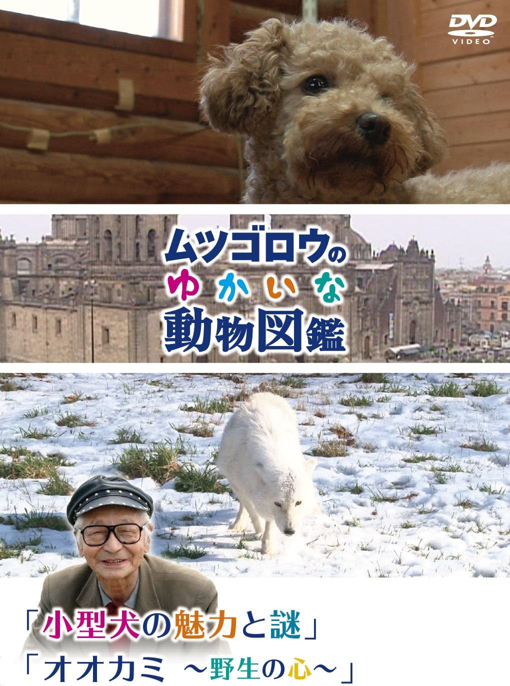 Amazon Co Jp ムツゴロウのゆかいな動物図鑑 シリーズ 小型犬の魅力とその謎 オオカミ 野生の心 Dvd Dvd ブルーレイ 畑正憲