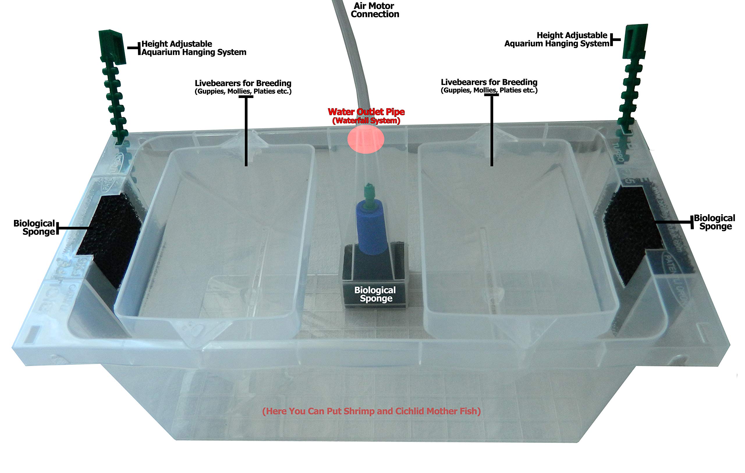 Buy Biolife Fish Breeding Box, Flexible Fish Isolation Box with Suction