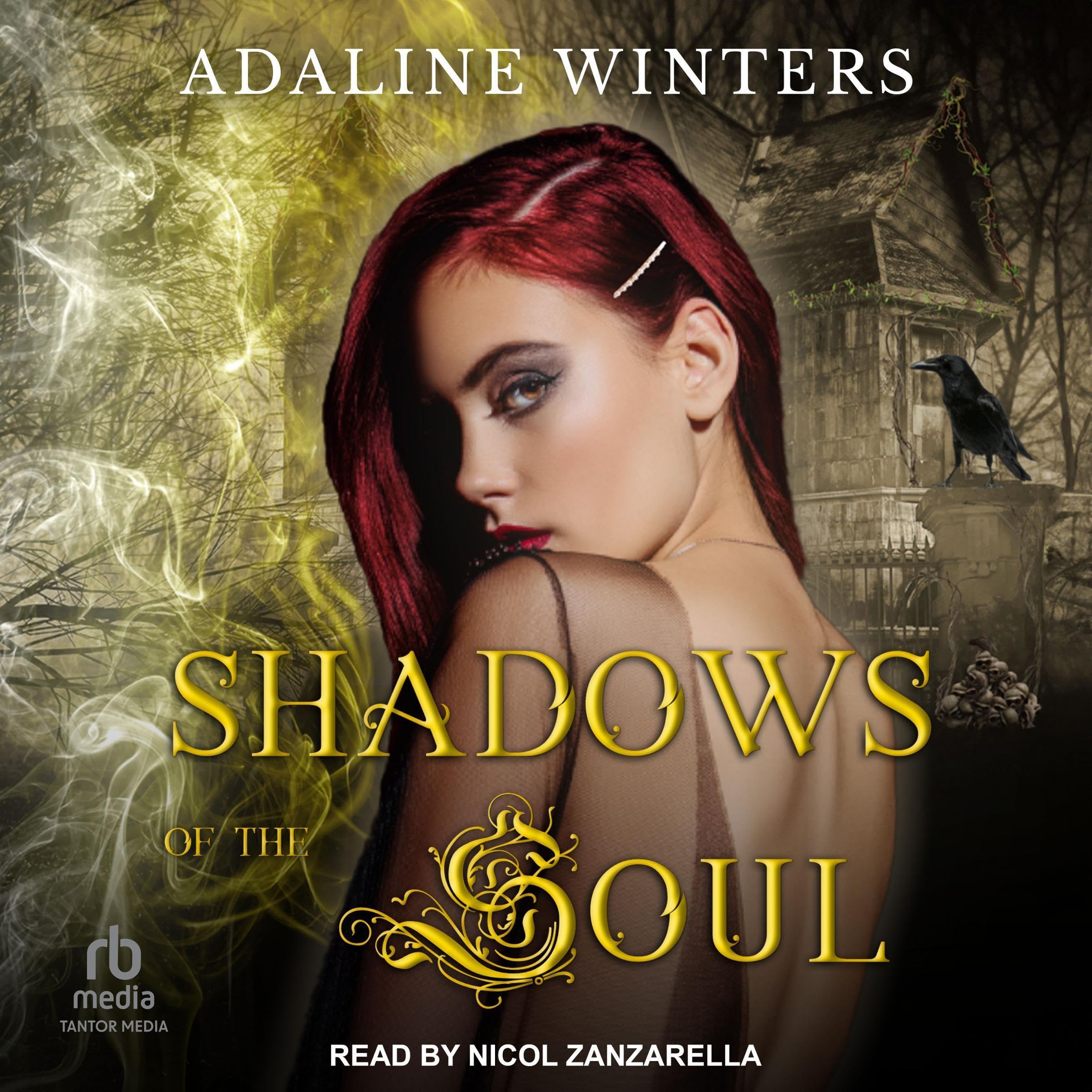 Cover art for Shadows of the Soul