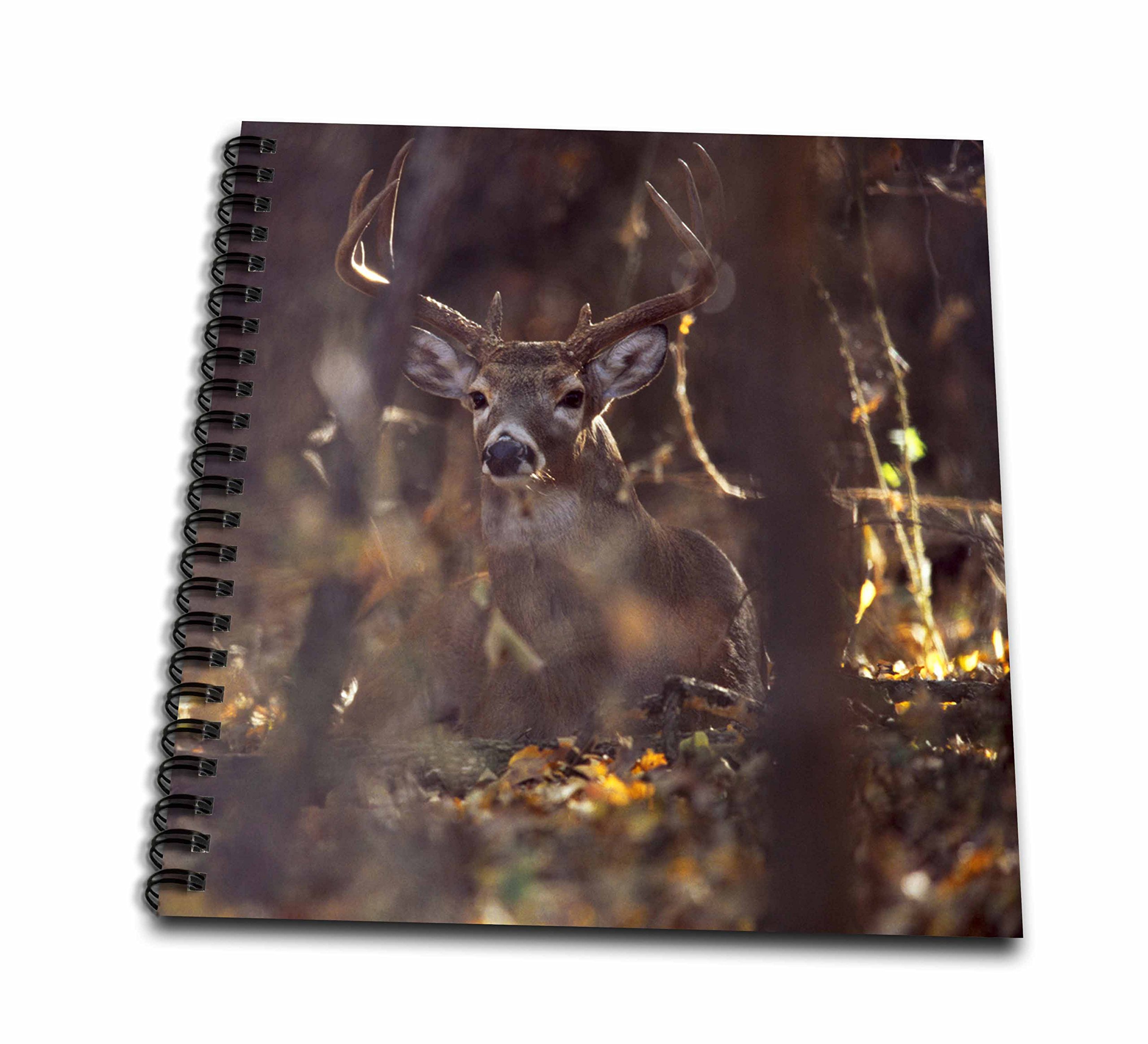 Livre de mémoire 12x12 cerf buck pour raconter vos aventures en forêt