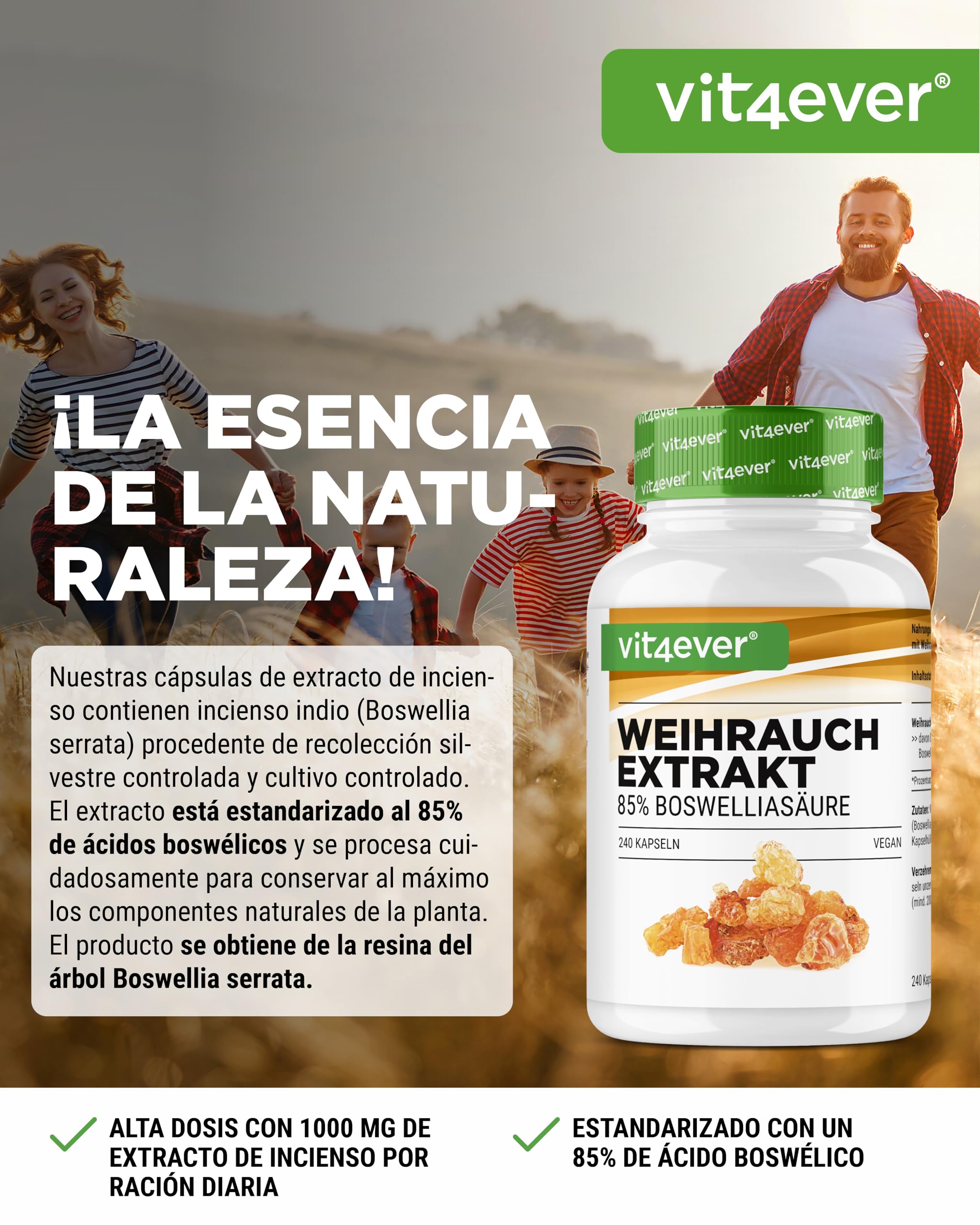 vit4ever Extracto de incienso - 240 cápsulas veganas - 1000 mg por ración diaria - Con 85% de ácidos boswélicos de auténtica Boswellia serrata india - Alta dosis