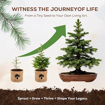 Bonsai Starter Kit for Adults Complete Indoor Tree Growing Set with Jacaranda Seeds, Tools & Planter | DIY Gardening Hobby Kits for Plant Lovers, Unique Easter Gifts for Men & Women
