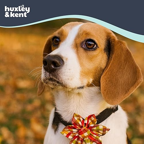 Miniatura 4 de Huxley & Kent Molinete para mascotas, diseño de cosecha (pequeño)  Accesorio de collar de otoño para perrosgatos  Accesorio de collar de lazo