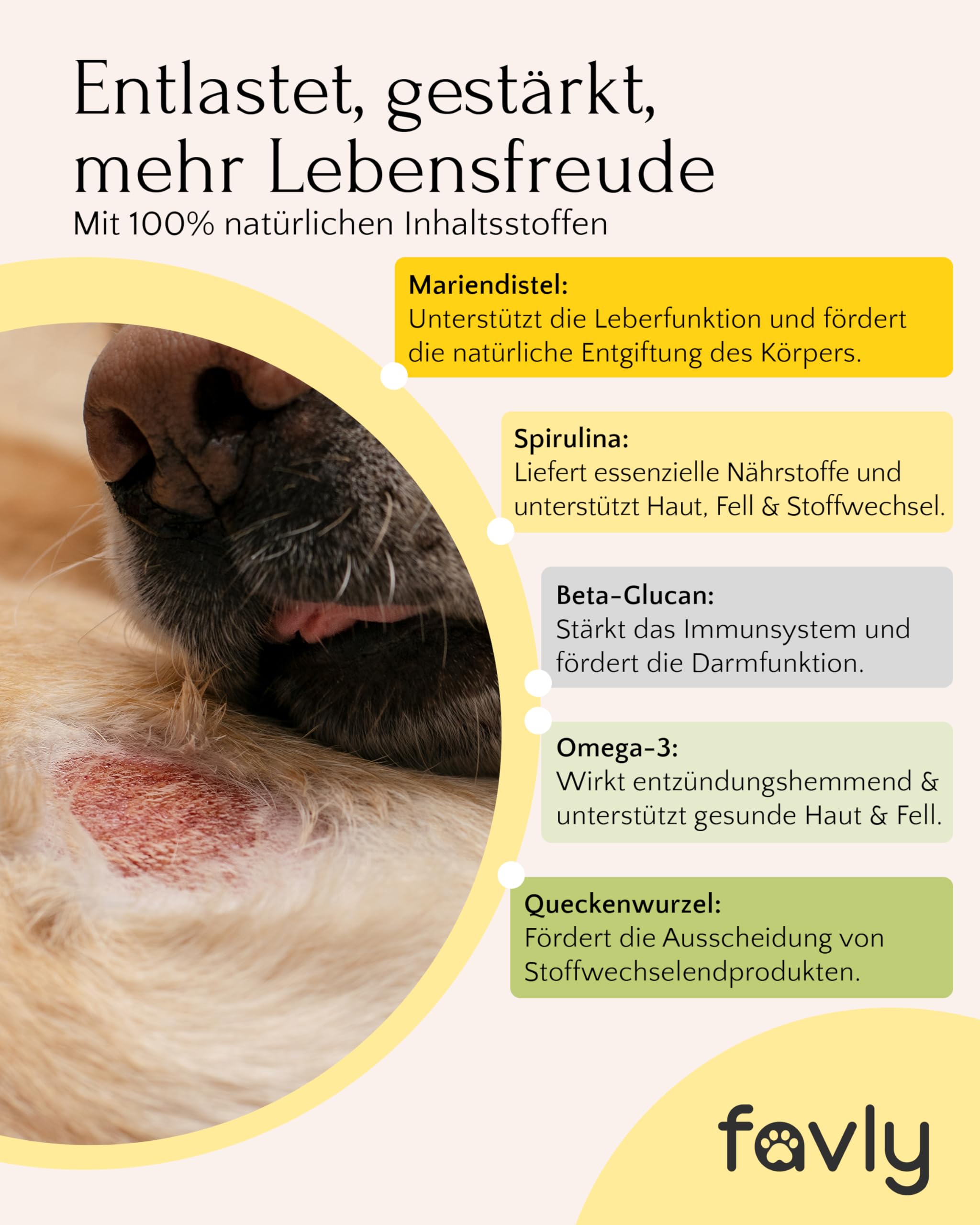 FAVLY – HEPASKIN Fellpflege Pulver 3x250g für Hunde & Katzen – Ergänzungsfuttermittel Topping mit Mariendistel, Omega-3 & Spirulina – bei Juckreiz, Schuppen & stumpfem Fell – Ohne Getreide & Zusätze