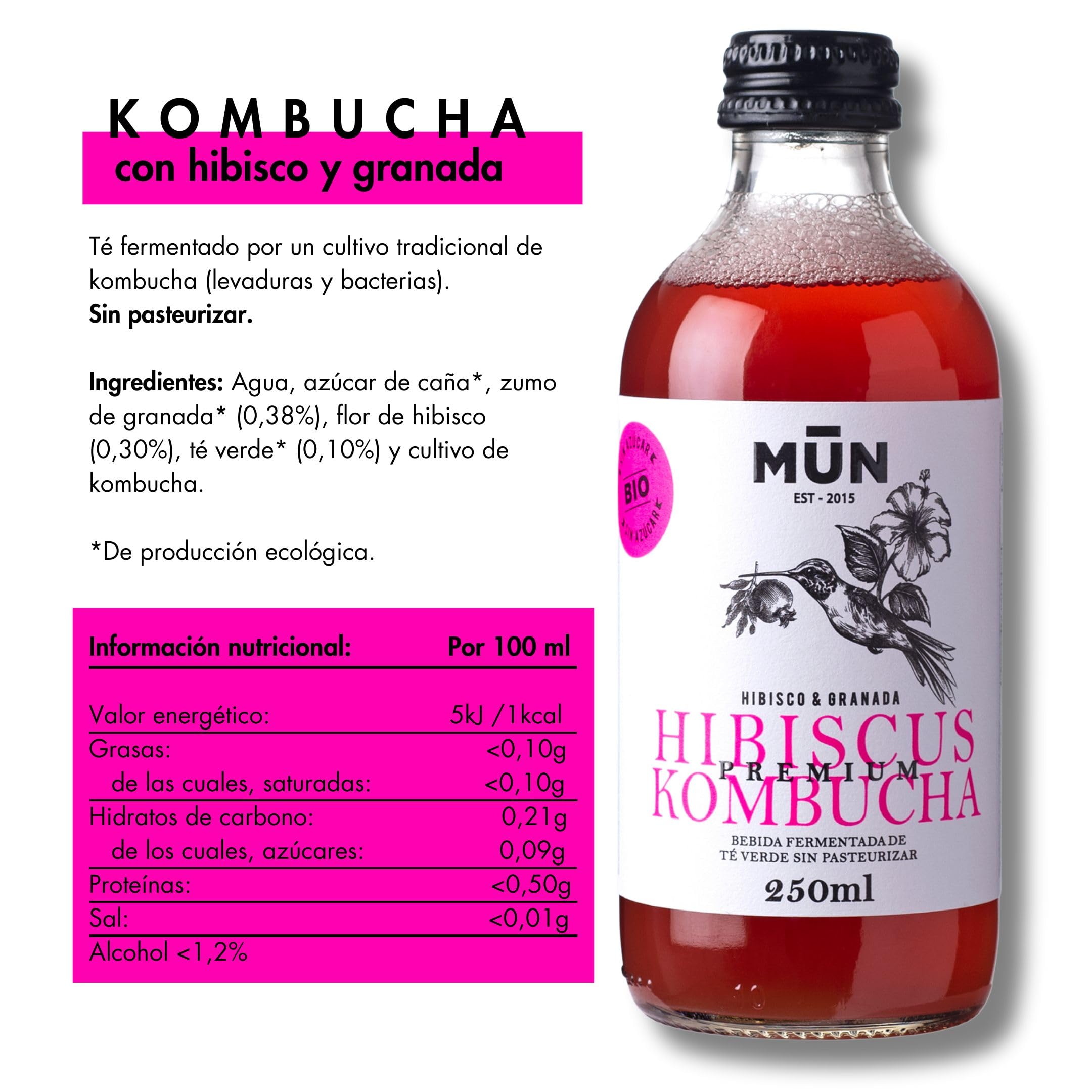 KOMBUTXA BEBIDA TE KOMBUCHA ORGANICA - Pack 12x250ml | Sapori Misti | Bevanda Energetica al Tè Fermentato Biologico | Senza zuccheri aggiunti