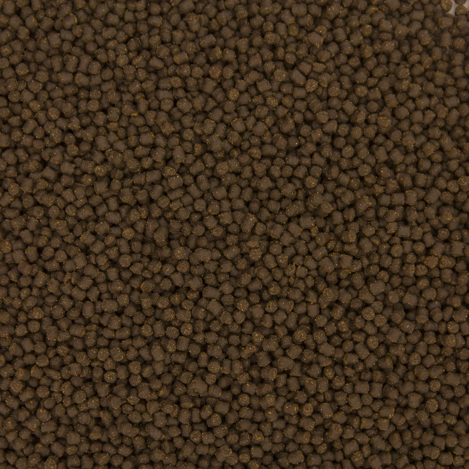 Ocean Nutrition Cichlid Omni Small Pellet 200g, 200 g (Pack of 1) - Image 3