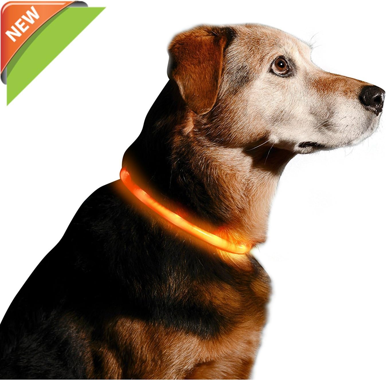 LED Dog Collar, USB Rechargeable Waterproof Safety Pet Dog Collar Light One Size Fits All (orange)