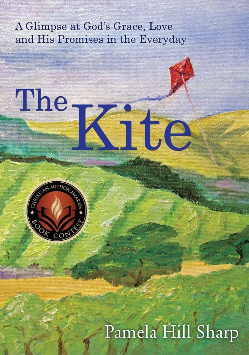 The Kite: A Glimpse at God's Grace, Love and His Promises in the Everyday
