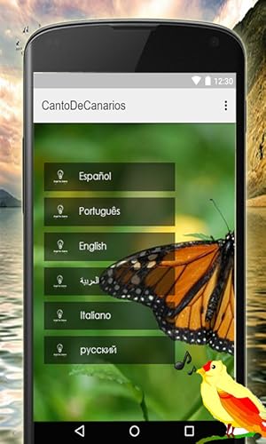 Cantos De Canarios