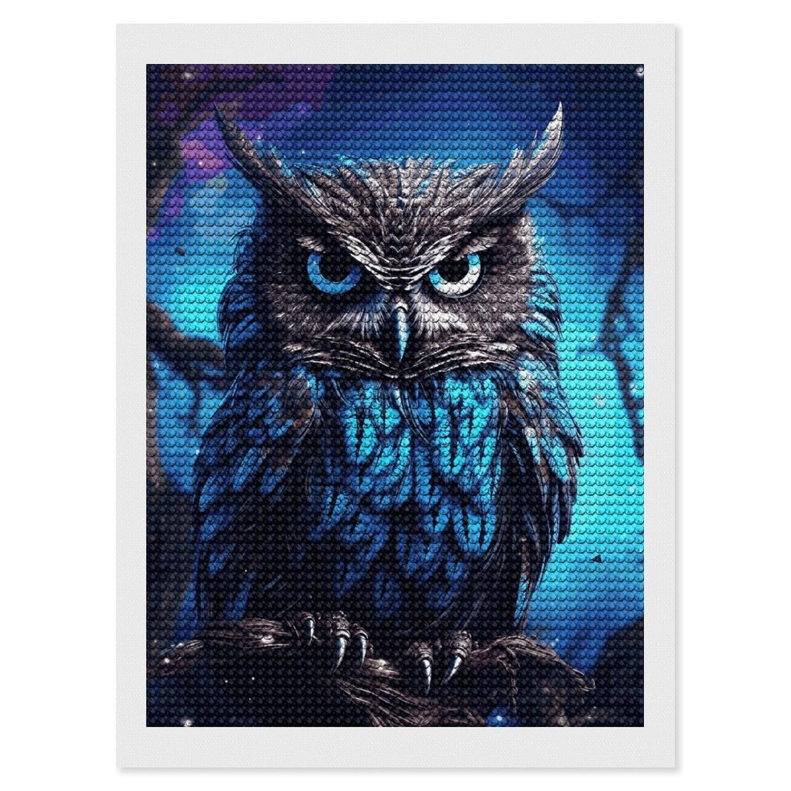 DWVTSLH Blue Owl Diamond Painting Kits for Adults, Personalized Diamond Photo Art Full Drill, DIY 5D Diamond Art Painting Kits for Beginners, Home Wall Decor 12"x16"