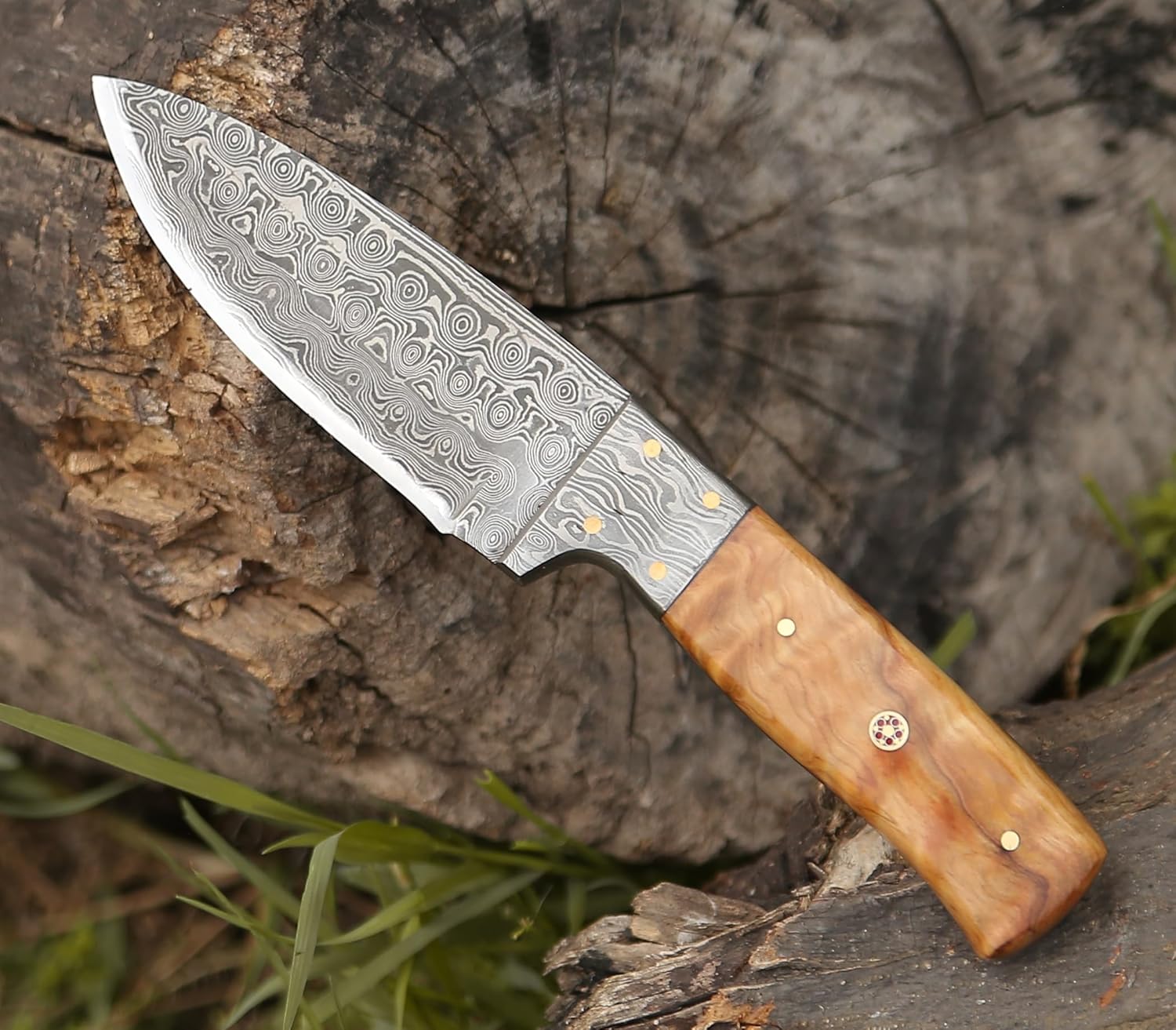 SHOKUNIN USA ApexSharp Survival Hunting Knife with Sheath, 4-inch Fixed Blade Knife Full Tang Skinning Knife with Sheath for Camping, Outdoor, Bushcraft, EDC Knives