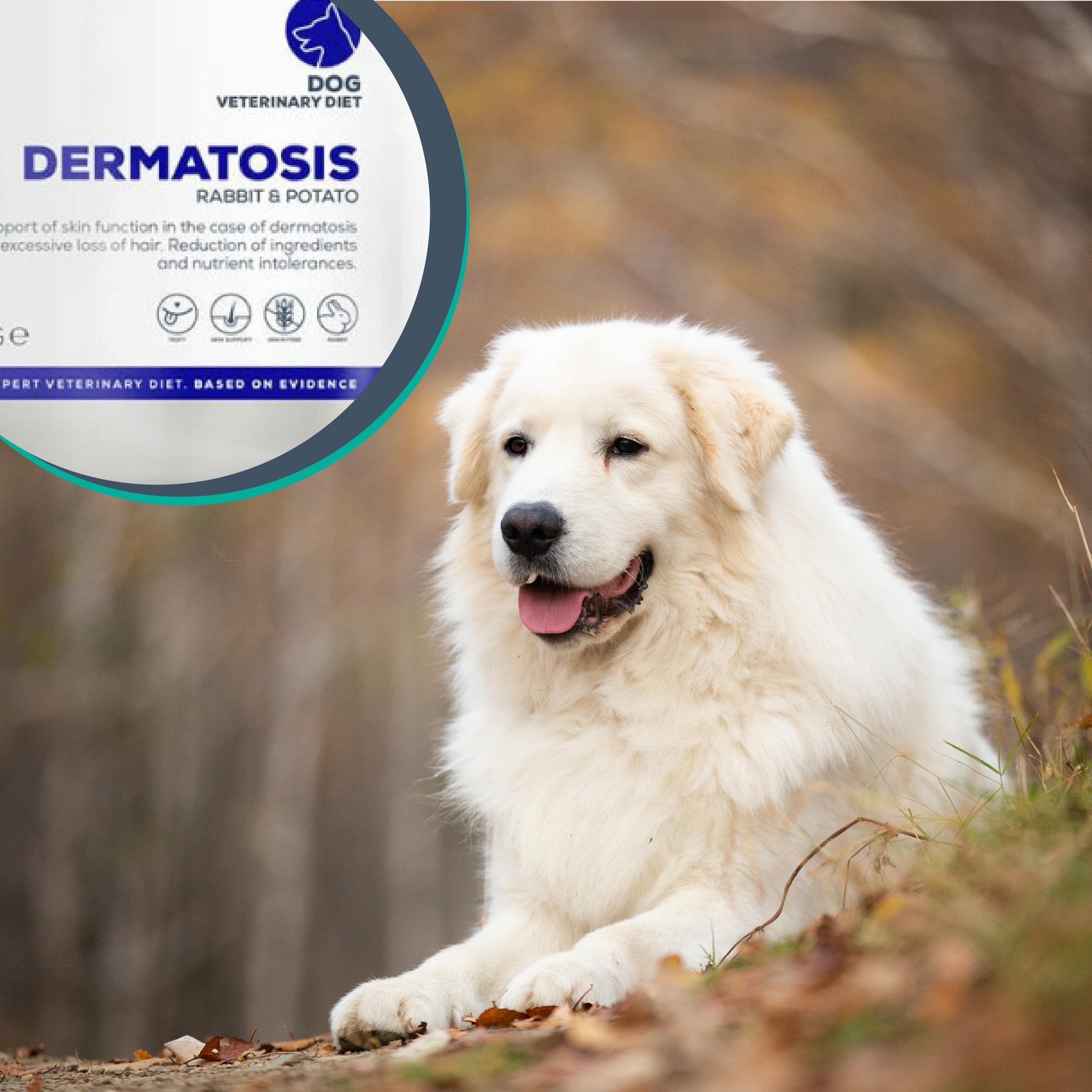 VET EXPERT DERMATOSIS DOG RABBIT & POTATO 12 kg - sucha karma weterynaryjna dla psów z zaburzeniami dermatologicznymi oraz z nietolerancją pokarmową