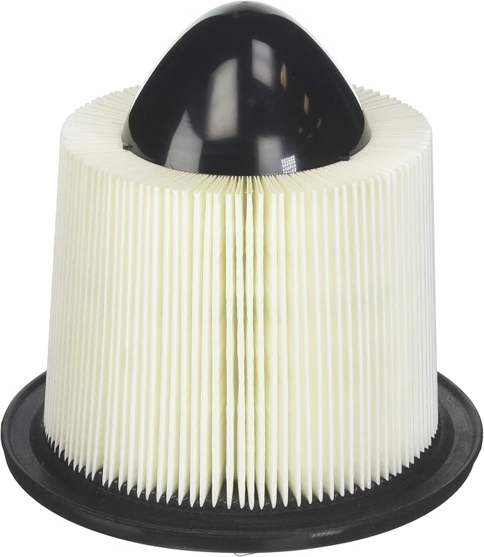 Automotive 5283WS Workshop Engine Air Filter-Compatible With Select Ford E-150,E-250,E-350,E-450,Excursion,Expedition,F-150,F-250,F-350,F-450,F-550,Mustang;Lincoln Continental,Navigator | Compatible with Select Ford E-150/250/350/450, Excursion, Expedition, F-150/250/350/450/550, Mustang; Lincoln Navigator +More