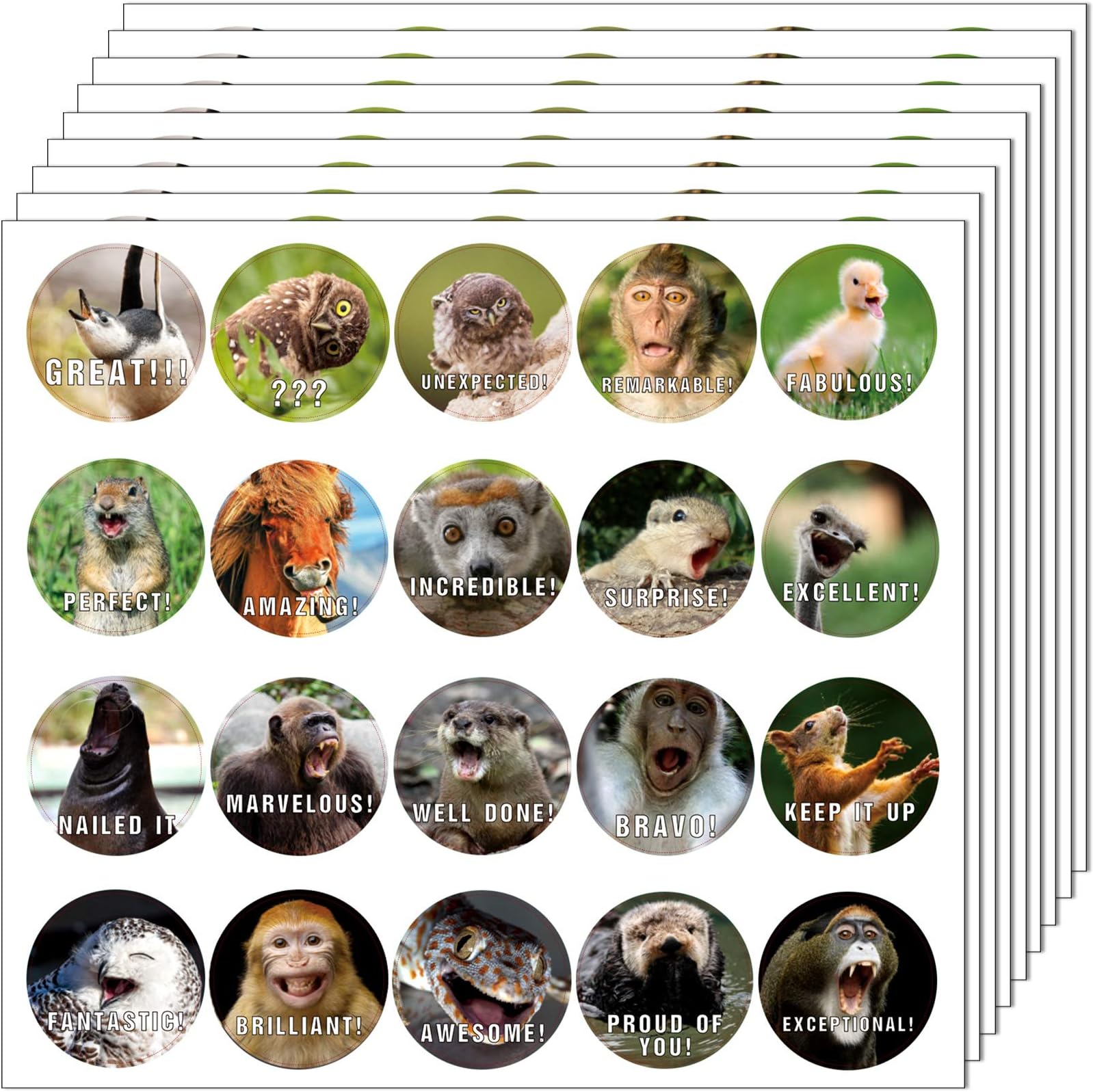 Outus Teacher Reward Stickers Funny Motivational Positive Stickers for Kids Students, 28 Vibrant Designs Fun Animal Reward Stickers Come in Envelope for Kids Students Teacher School Classroom (560)