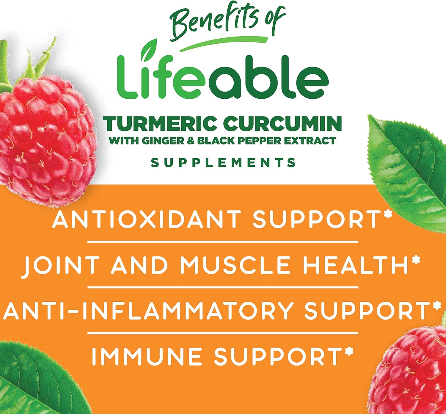 Lifeable Sugar Free Turmeric and Ginger – with Black Pepper Extract – 250 mg – Great Tasting Natural Flavor Gummy Supplement – Gluten Free Chewable – Reduce Inflammation – for Adults – 90 Gummies : Health & Household