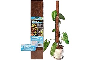 Fernwood Tree Fern Totem Board