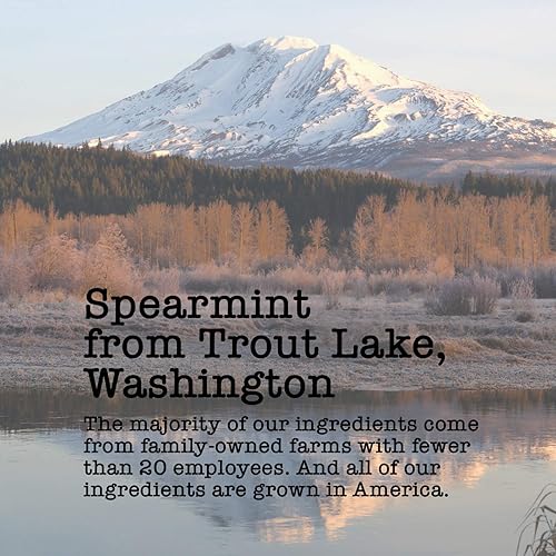 Miniatura 3 de Limonada de menta, 45-60 porciones, bolsa con cremallera ecológica, sin cafeína, té de hojas sueltas puro cultivado en Estados Unidos, 5 onzas