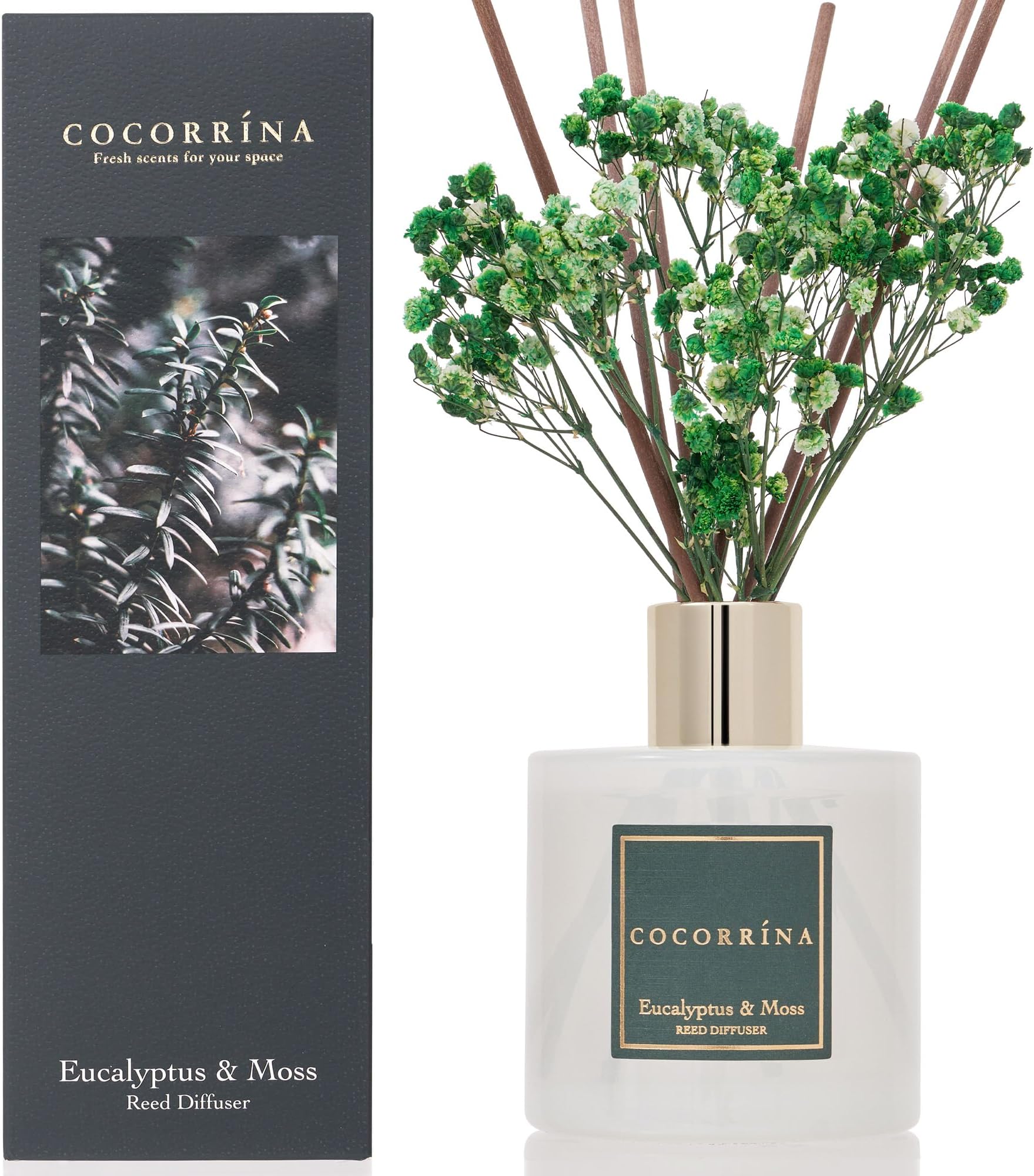 COCORRÍNA Reed Diffuser Sets- 200ml Eucalyptus & Moss Scented Diffuser with Sticks Home Fragrance for Bedroom Bathroom Living Room, Home & Office Decor