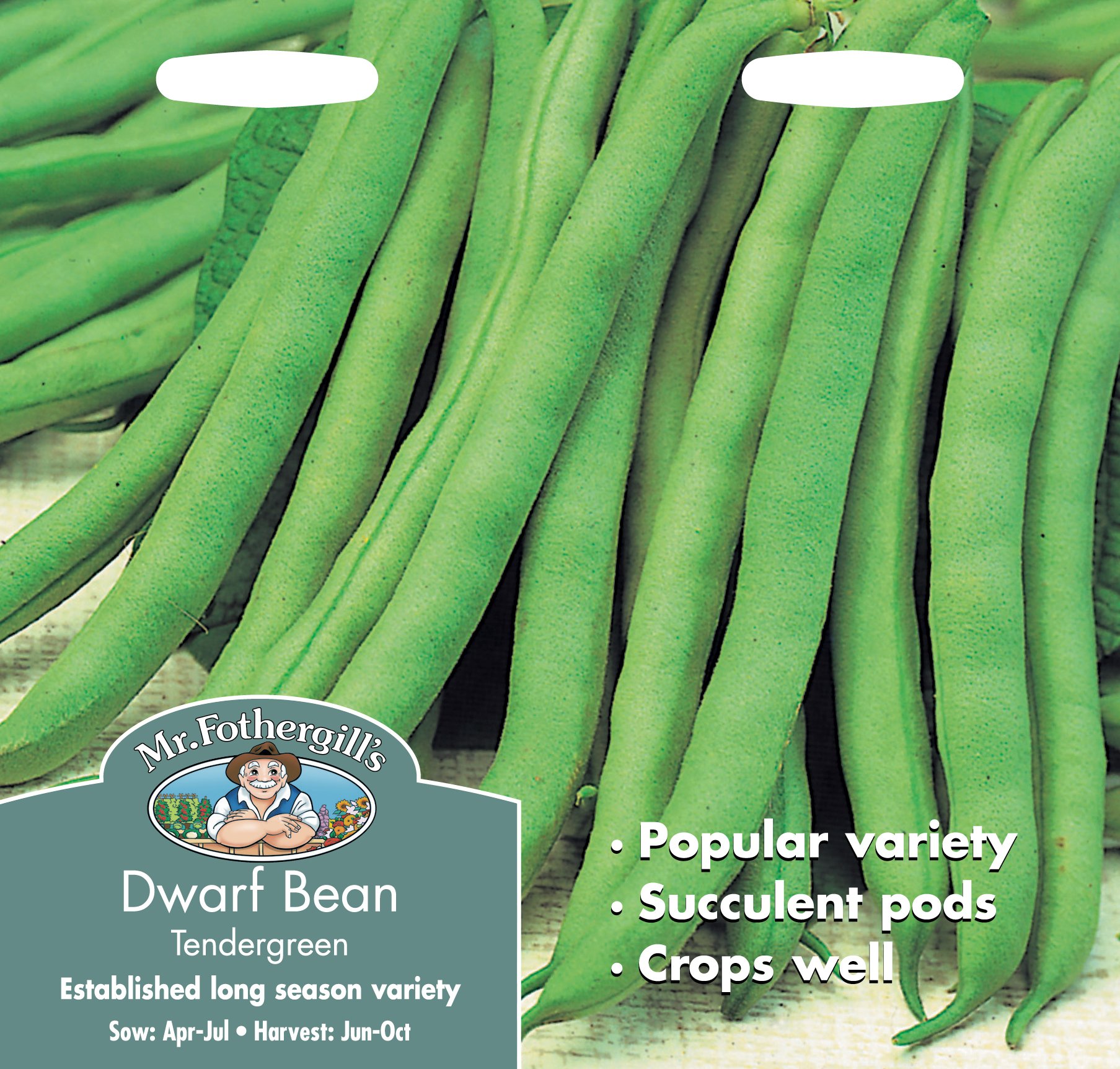 Mr Fothergill's 11238 Vegetable Seeds, Dwarf French Bean Tendergreen, Green