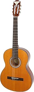 π₯ Best Fingerstyle Guitar 19 81beqaPWiJL. AC SL300