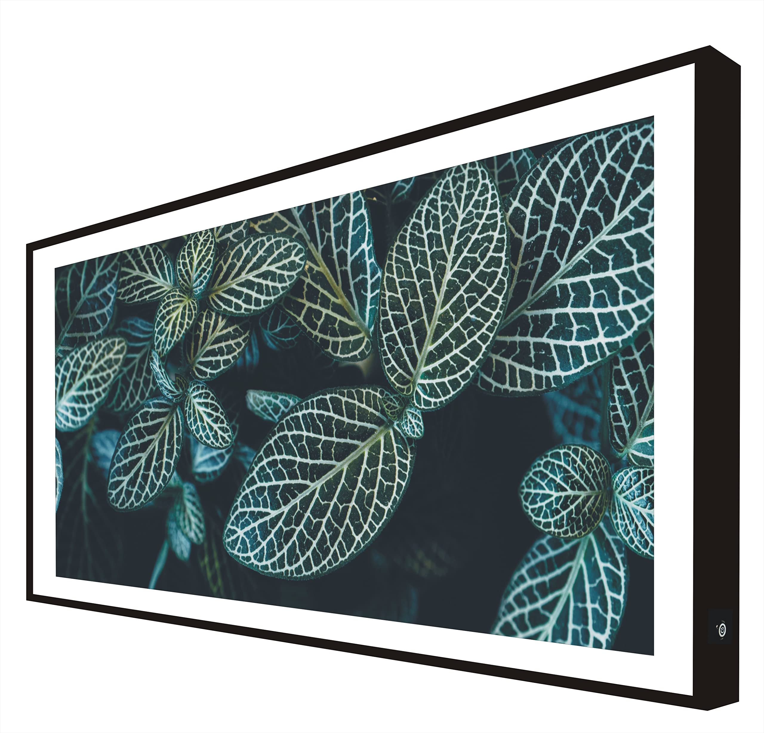 Cadre bois laqué noir éclairé à offrir, tableau LED plantes tropicales cadeau design