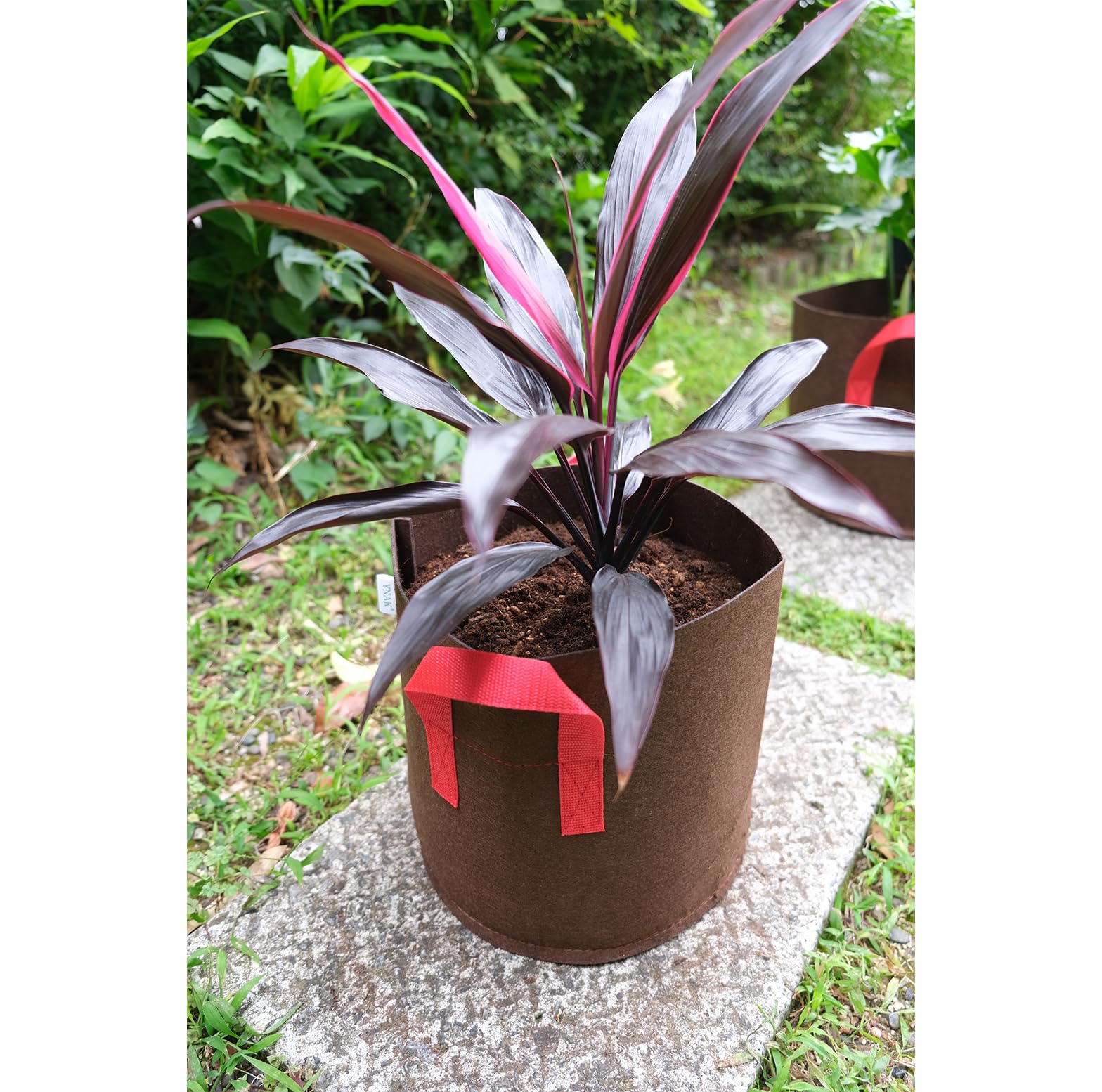 Amazon.co.jp: YNAK 不織布プランター 植木 鉢 園芸 花 野菜 植物 栽培 