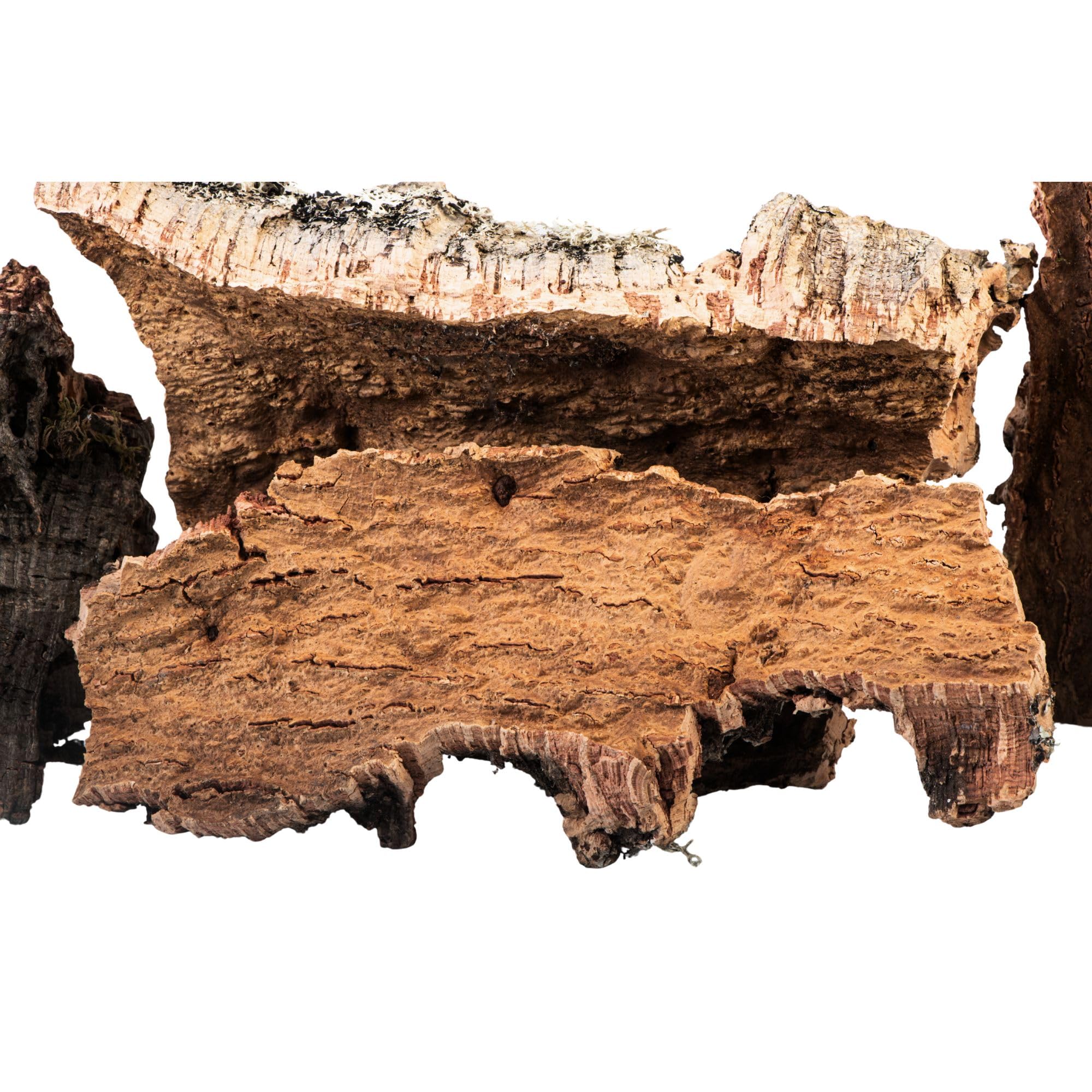 Corteccia de corcho 100% natural hecha en Italia para belén 5 kg