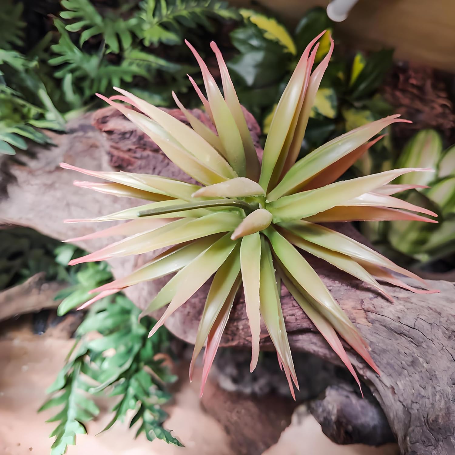 Artificial Succulents Plants- Faux Succulents Unpotted Yucca Real Touch Lifelike Agave Plant Fake Succulent Greenhouse Small Plants Home Plastic Tequila,Soil Free Plant,No Lighting Function - Image 5