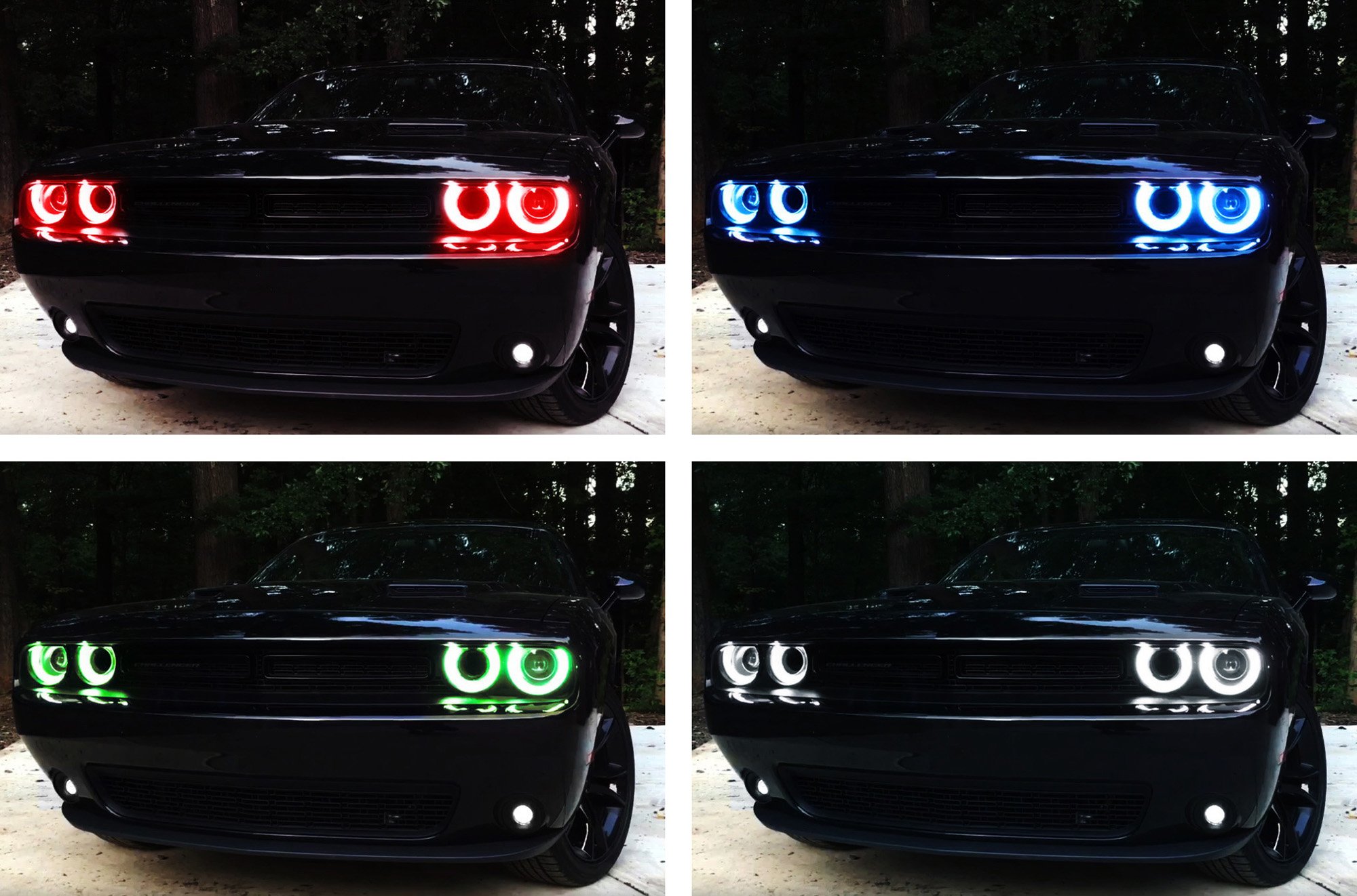 た*ま様 CHALLENGER LEDライト 並行輸入品】Mynoway LED Side Marker Lamp Replacement for