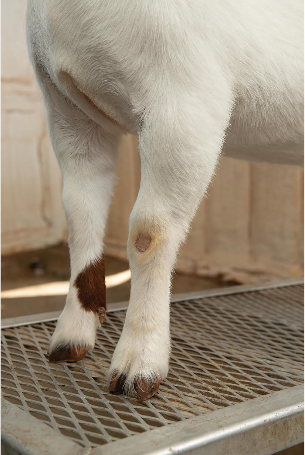 Weaver Leather Shimmer Shampoo, Quart