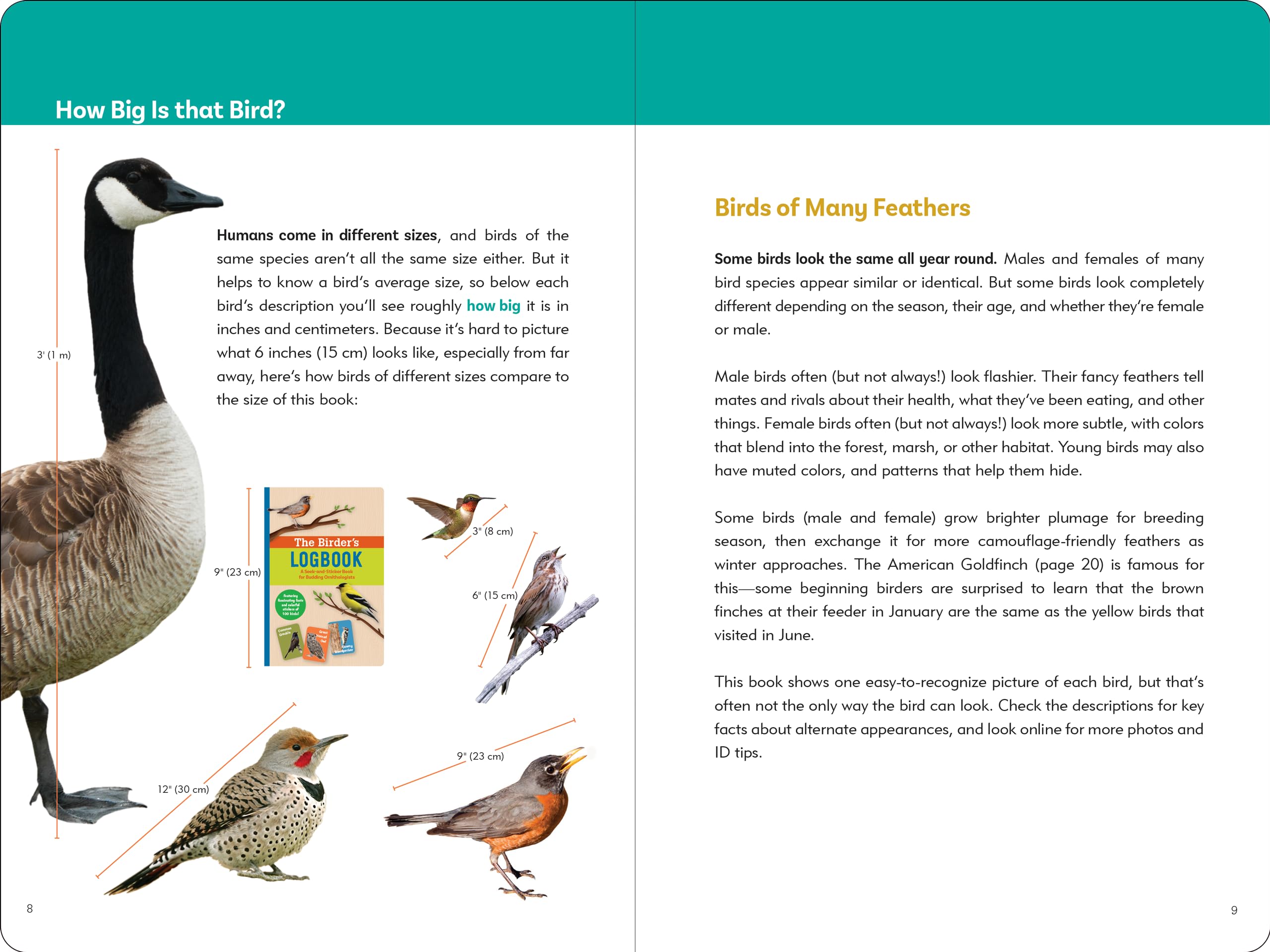 Birder's Logbook: A Seek-and-Sticker Book for Budding Ornithologists (comes with 100 full-color stickers of birds!) - Image 4