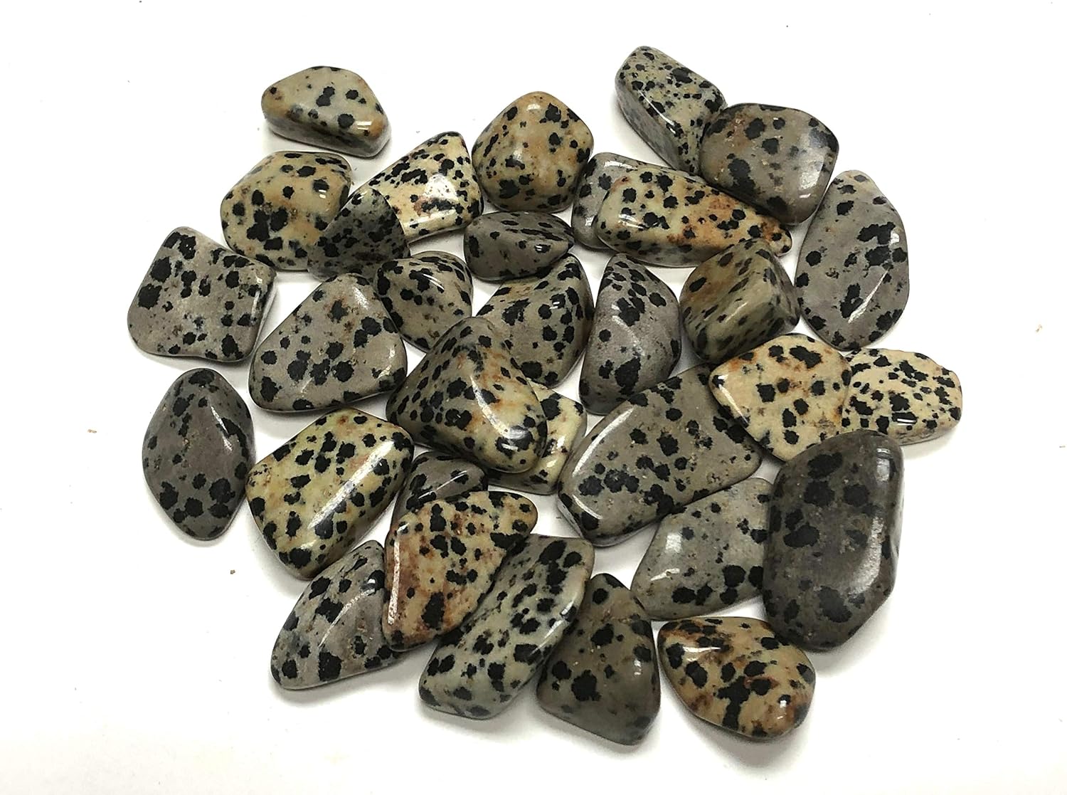 Tumbled Dalmation Jasper, Includes Velvet Bag - Large 1" Pieces (1 Pound)