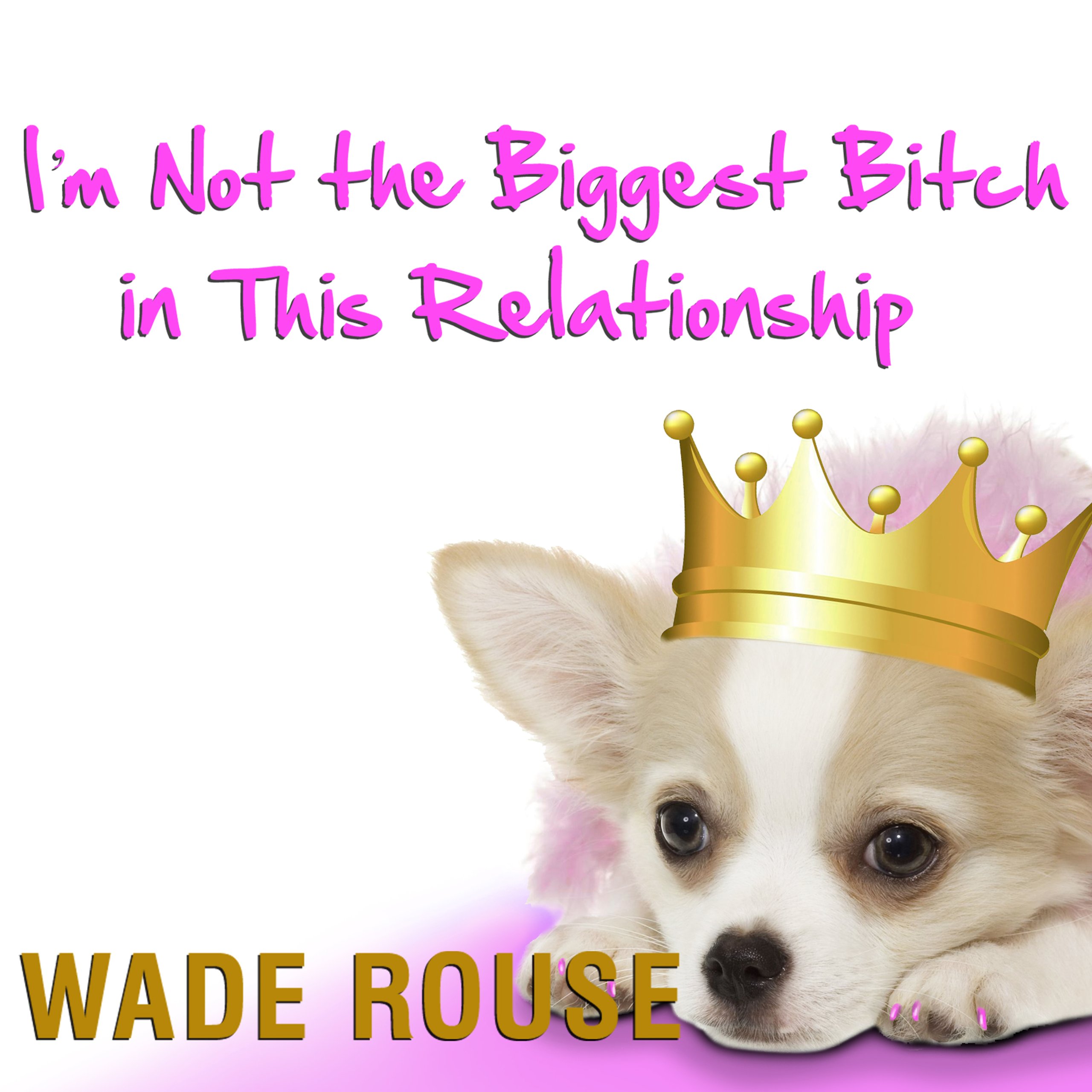 Cover art for I'm Not the Biggest Bitch in This Relationship