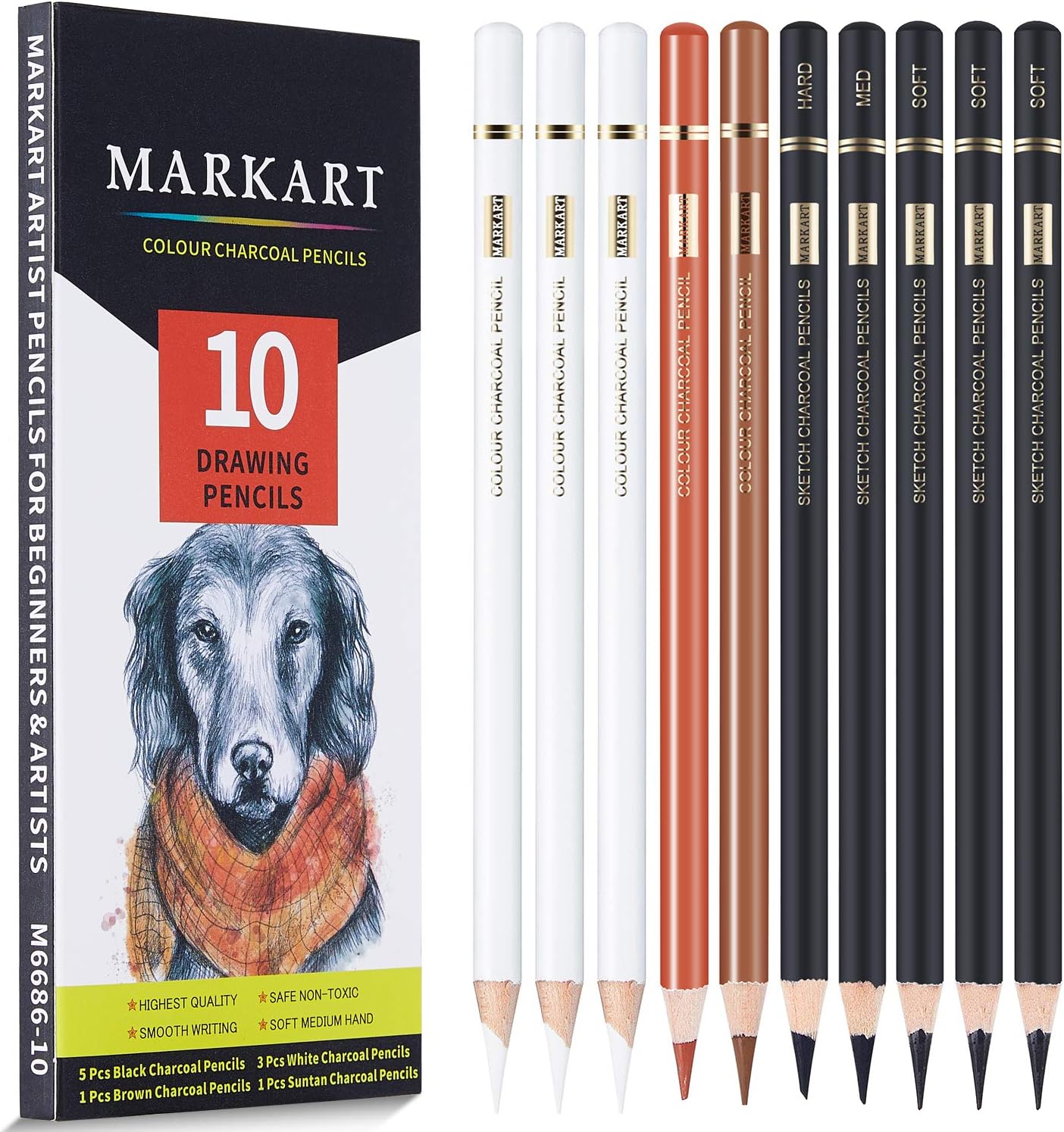 Charcoal Pencils for Drawing, 10 Pack Black & White Charcoal Pencils for Sketching, Shading, Blending, Artist Pencil for Beginners & Artists