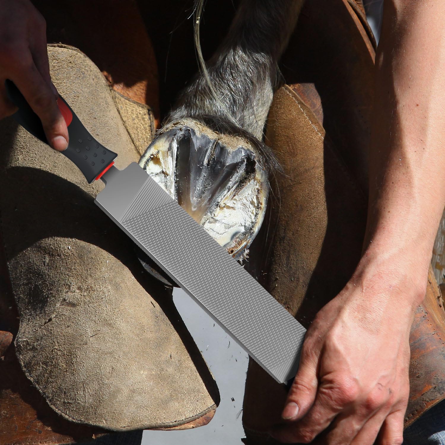 Gisafai 2 escofinas para herrar caballos con mango de acero al carbono, herramientas para reparación de pezuñas de caballo, pezuñas de cabra, vaca, burro, cerdo, pezuñas de animales, suministros de