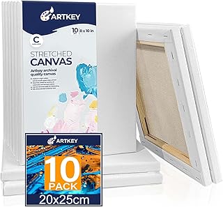 Canvases for Painting - 8 x 10 Inch, 10 Pack Canvases - 10 oz Triple Primed, Acid-Free, 100% Cotton Blank Canvas - Art Canvases for Oil Paint Acrylics