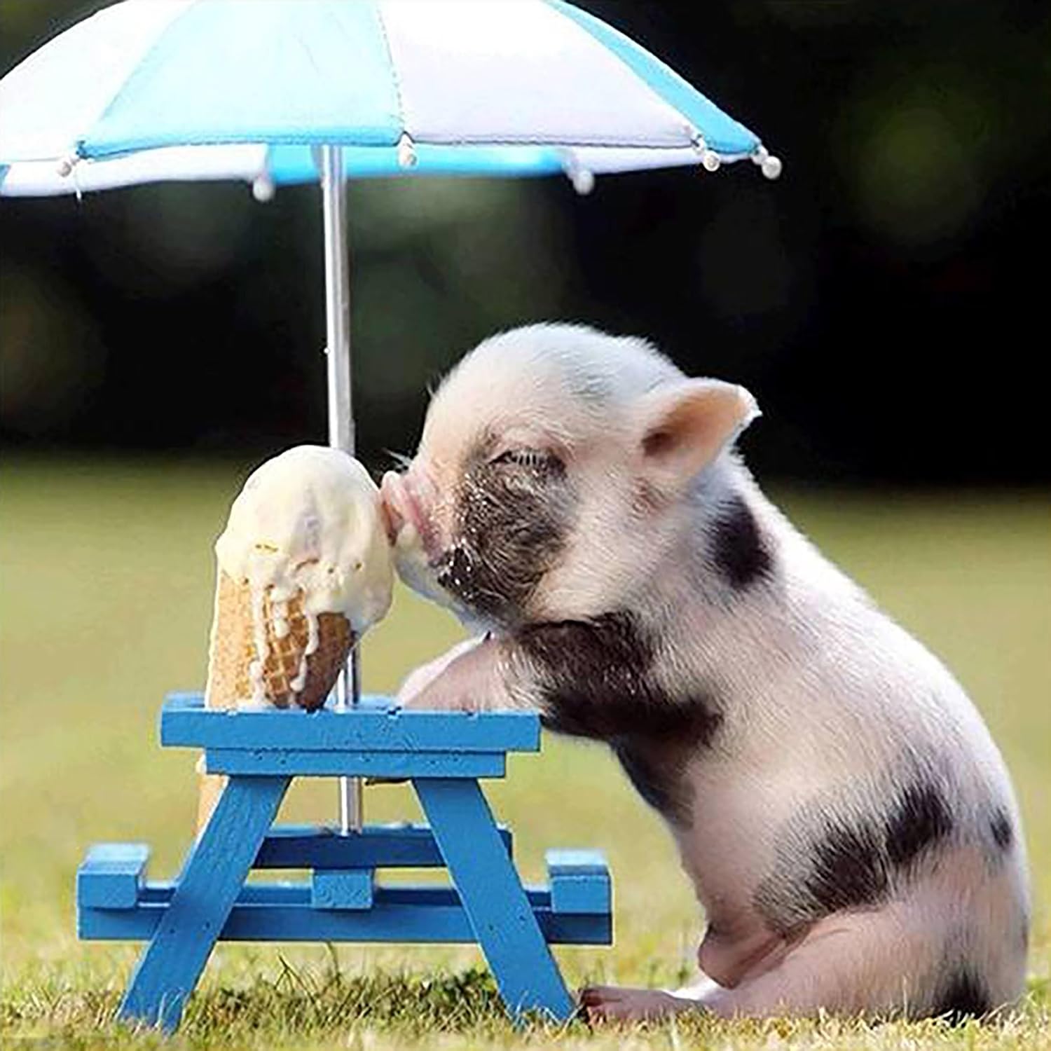 Pig Eating Ice Cream Jigsaw Puzzles for Adults or Kids 1000 Piece,Funny Colorful Pig Piggy Ntellectual Decompression Fun Family Puzzles Game for Christmas Holiday Toy Gift