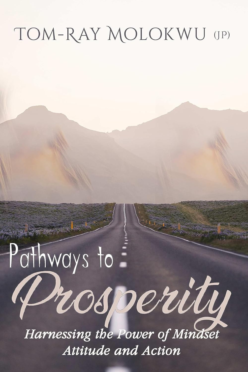 Pathways to Prosperity Harnessing the Power of Mindset, Attitude and