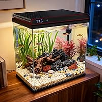 Coospider 10 Gallon Glass Aquarium Starter Kit - Self-Cleaning with 3-Color LED Lights, Quiet Pump, Temp Monitor for Betta Fish, Shrimp, Kids Gift