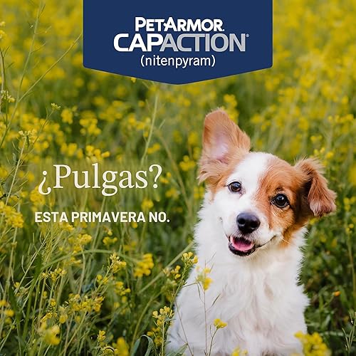 Miniatura 2 de PetArmor CAPACTION (nitenpiram) Tratamiento oral contra pulgas para perros, tabletas de acción rápida comienzan a matar pulgas en 30 minutos, perros