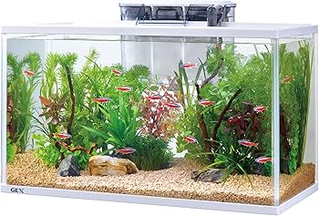 Amazon.co.jp: ジェックス スリムアクアセット500 : ペット用品