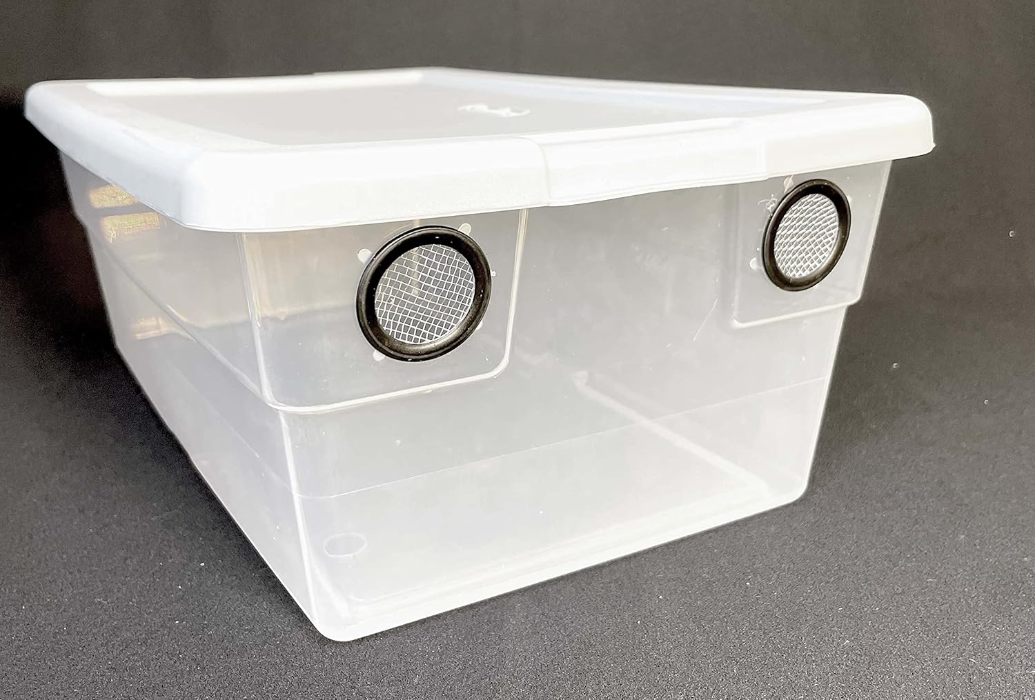 Vented Enclosure 6 Quart Vivarium 2 Vent Container for Reptiles Isopods Terrarium Set (Set of 2)