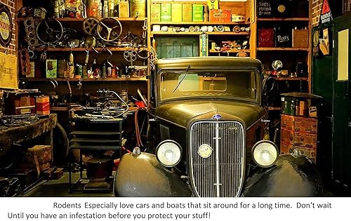 Miniatura 5 de Colton's Naturals Repelente de ratones, 32 onzas, aerosol repelente de ratones, aceite de menta 100% natural para repeler ratones, repelente de