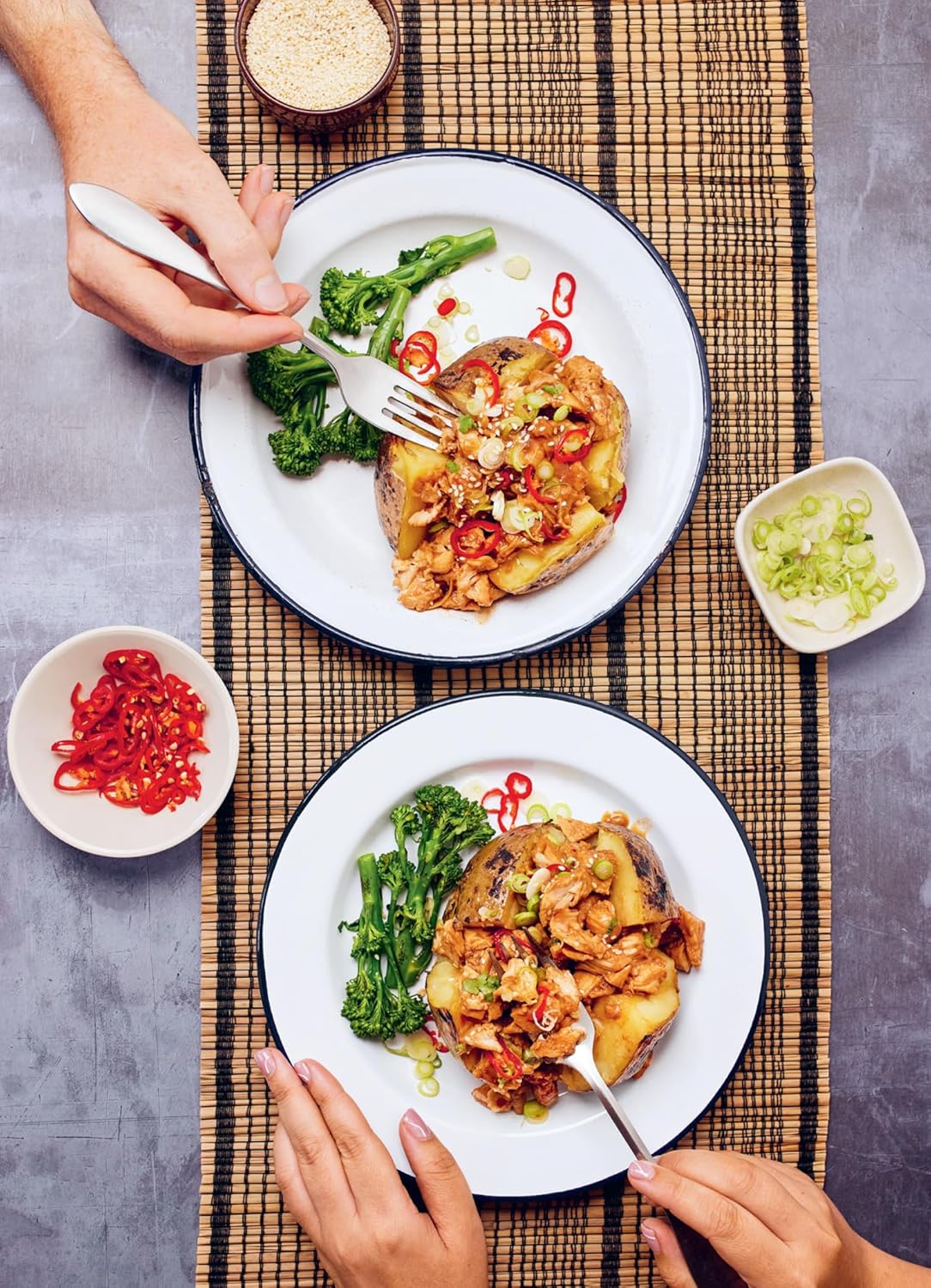 Best Cookbook - Spud Man's Spudtacular Baked Potato Cookbook Review