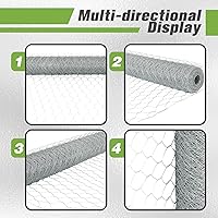 Vista 3 de Red de alambre de pollo Malla de alambre galvanizada Cercado hexagonal para jardín de aves de corral que cerca la barrera 6FTx50FT