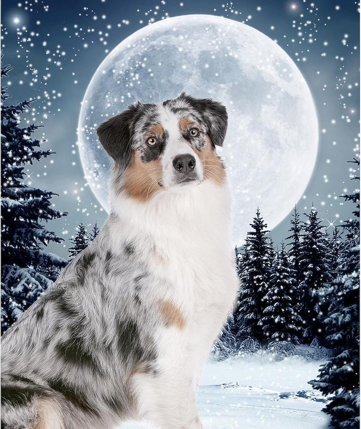 CafePress Australian Shepherd Throw Blanket Super Soft Fleece Plush Throw Blanket, 60"x50"