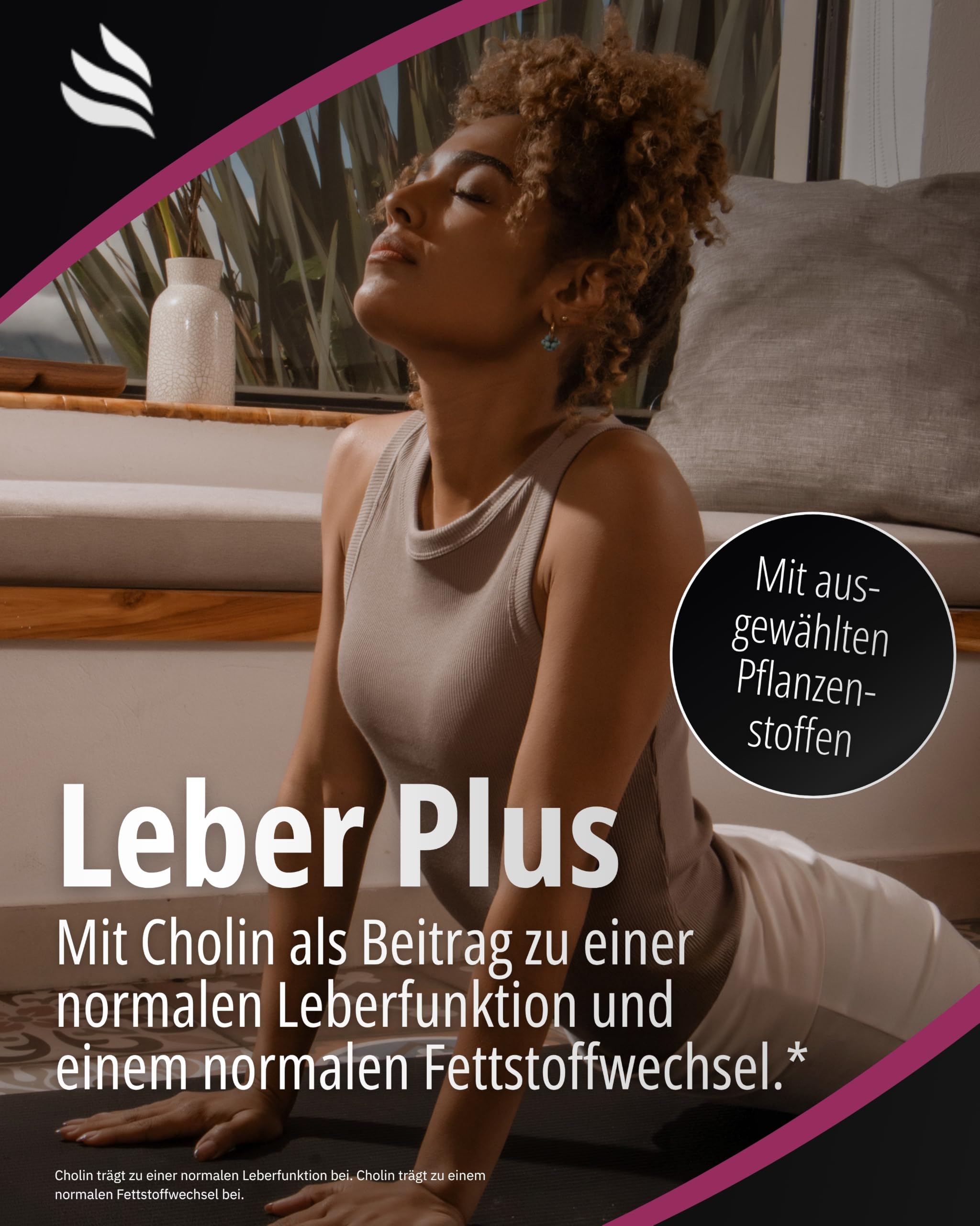 Leber Plus + Brennnessel Weinlaub Rosskastanie Bundle