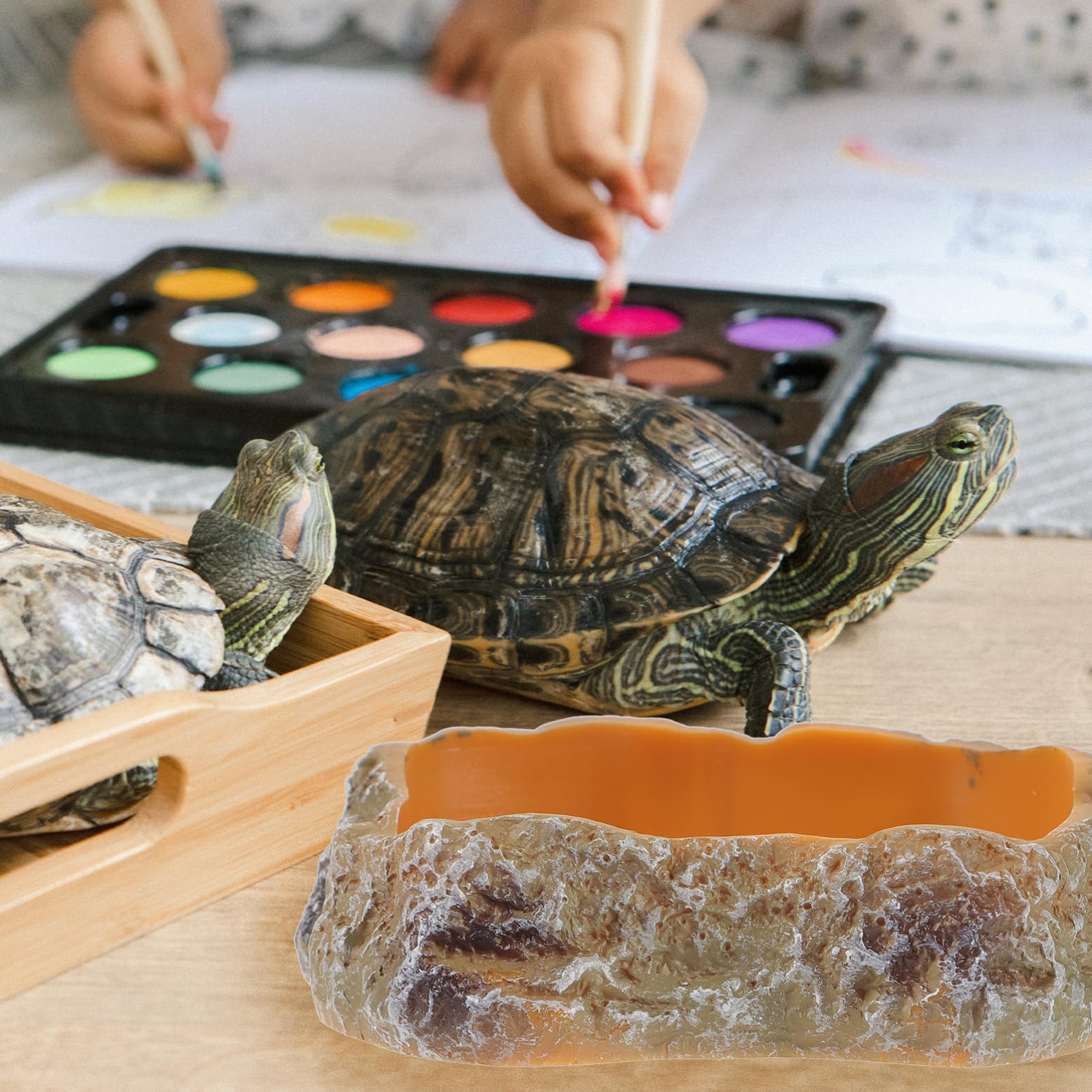 Abaodam Reptile Feeding Dish Compact Resin Water Bowl for Lizards Hedgehogs and Animals Safe and Convenient Design for Reptile Supplies for Tortoises and Geckos